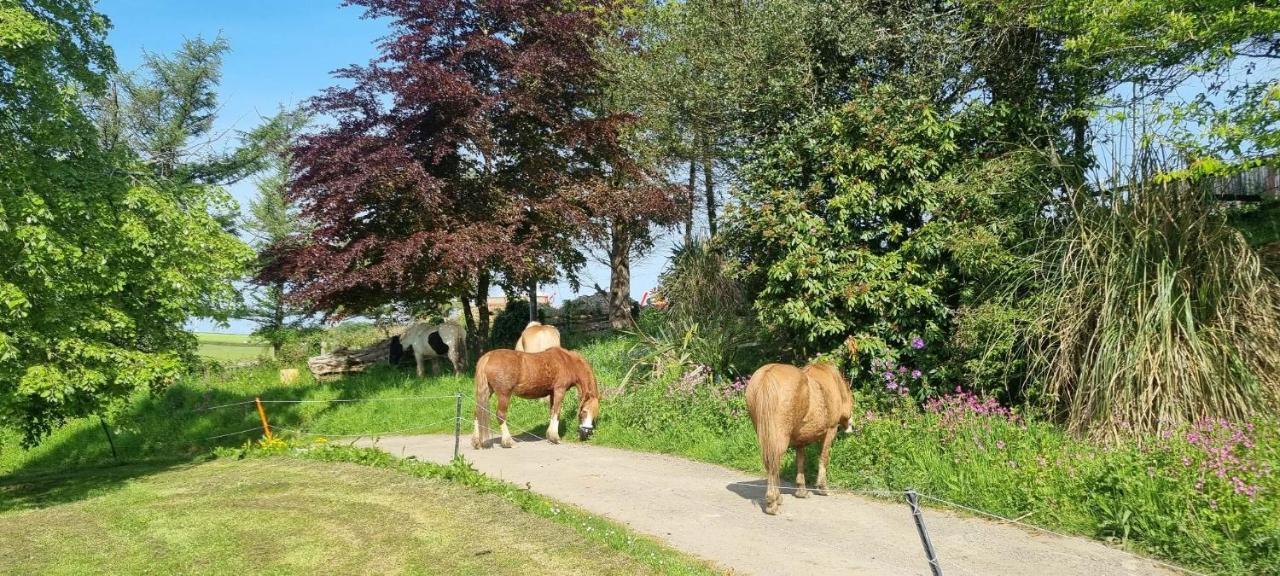 No 4 Trelawney Apartment - Onsite Bar - Restaurant - Horse Riding Menheniot ภายนอก รูปภาพ