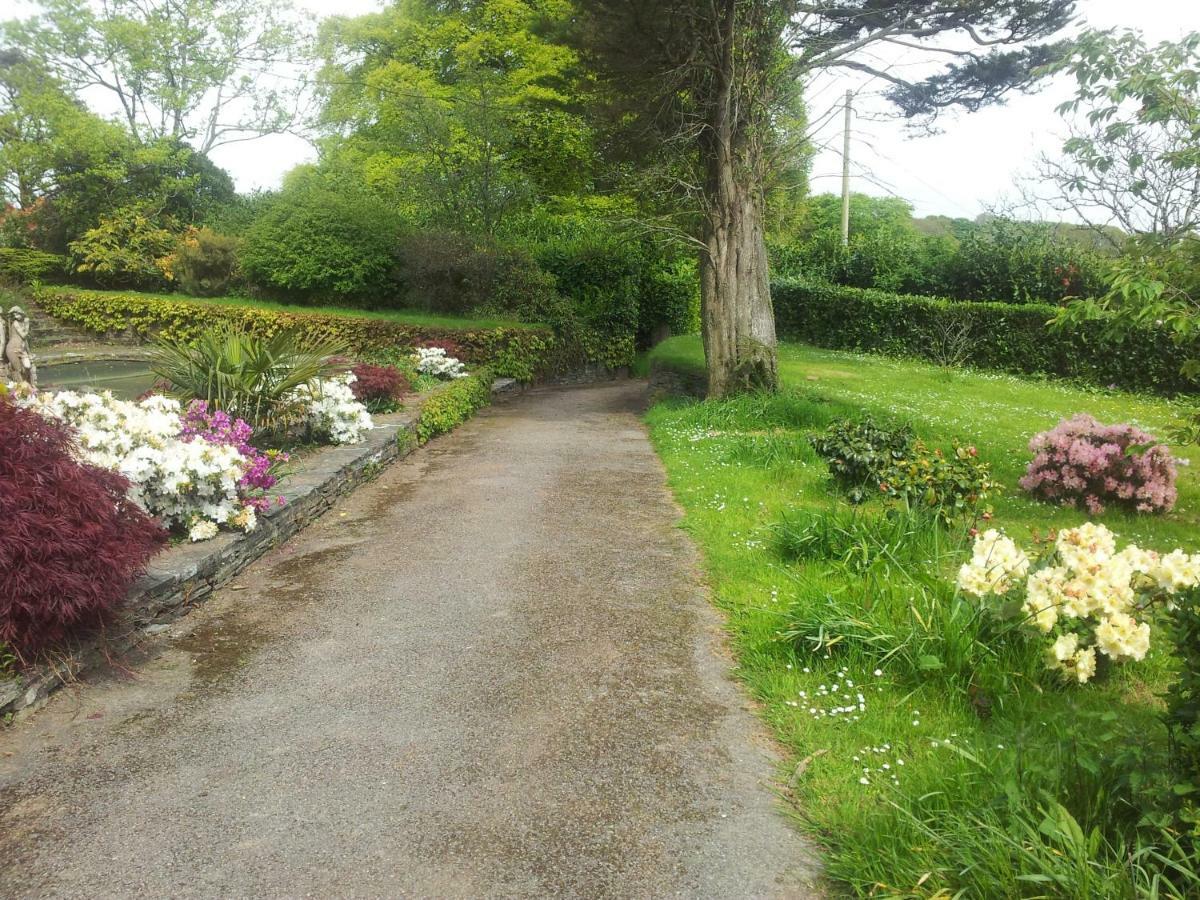 No 4 Trelawney Apartment - Onsite Bar - Restaurant - Horse Riding Menheniot ภายนอก รูปภาพ