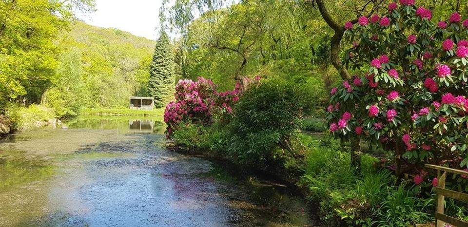 No 4 Trelawney Apartment - Onsite Bar - Restaurant - Horse Riding Menheniot ภายนอก รูปภาพ